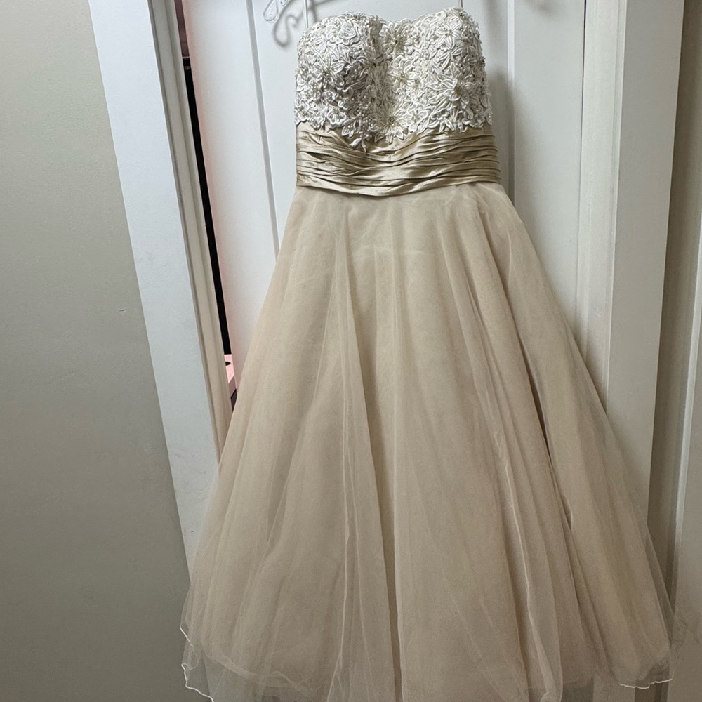 Wedding/Formal Dress